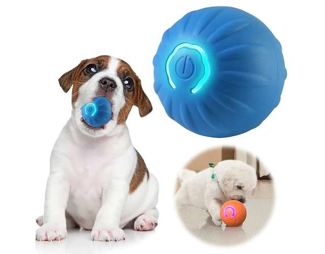Pet Gravity - Imagen 7